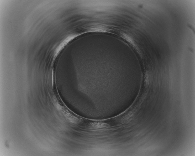 X0000103131323200808221145