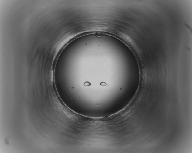 X0000103131324200808221145