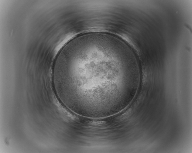 X0000103131325200808221145