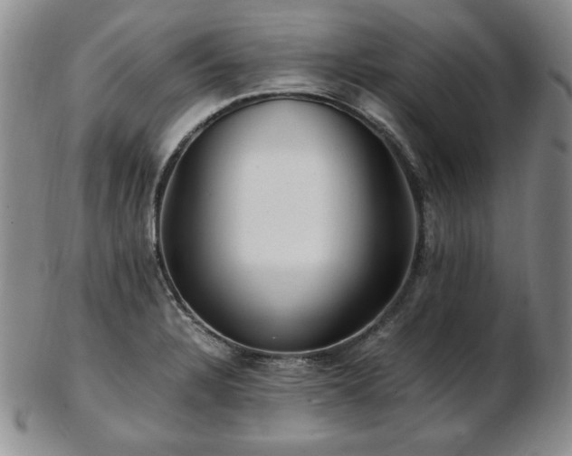 X0000103131328200808221145