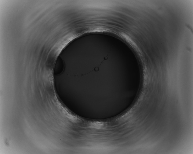 X0000103131329200808221145