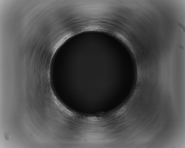 X0000103131330200808221145