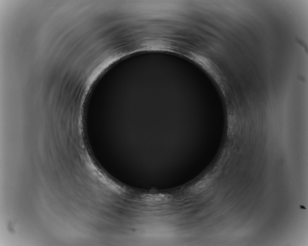 X0000103131331200808221145