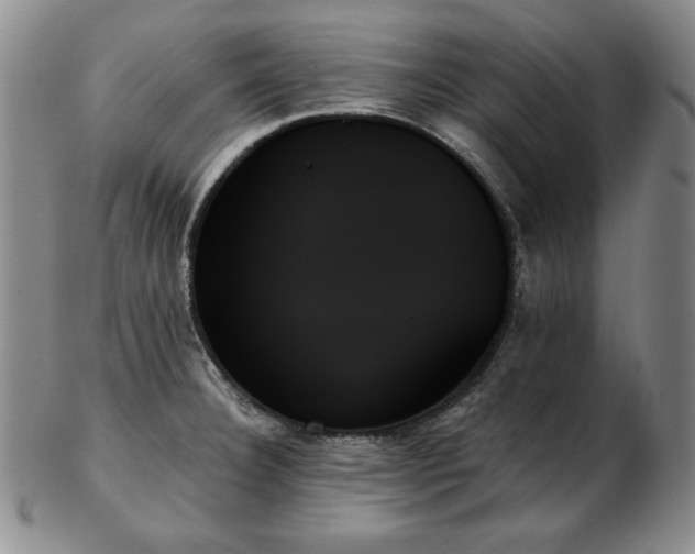 X0000103131332200808221145