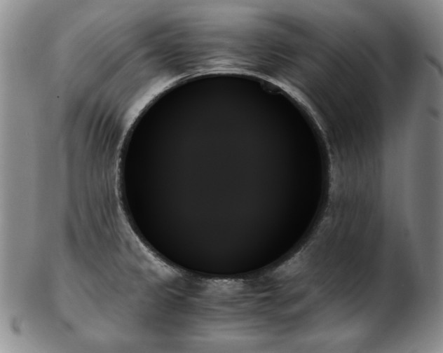 X0000103131333200808221145