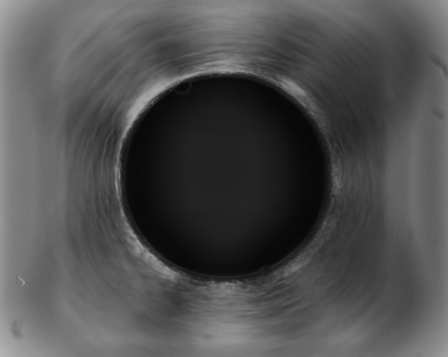 X0000103131334200808221145