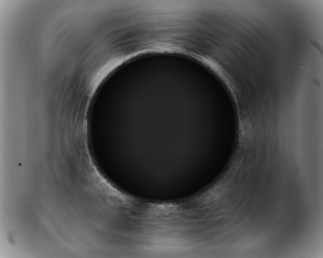 X0000103131335200808221145