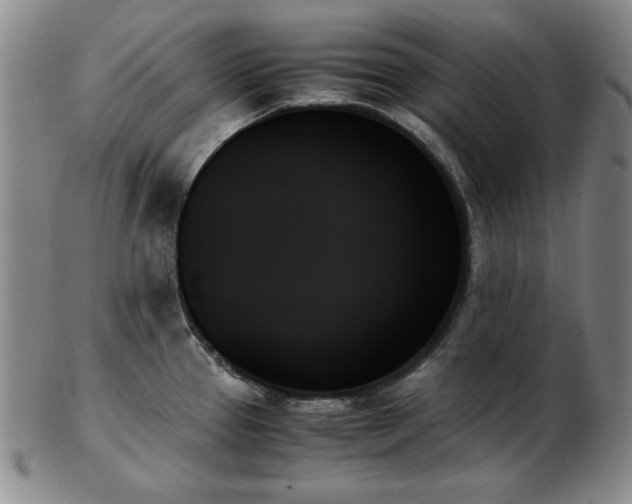 X0000103131337200808221145