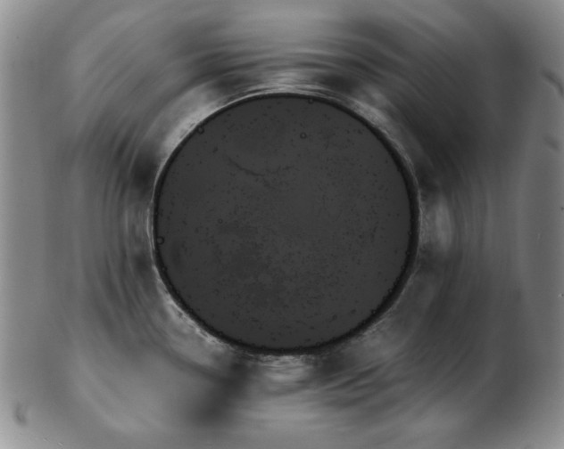 X0000103131338200808221145