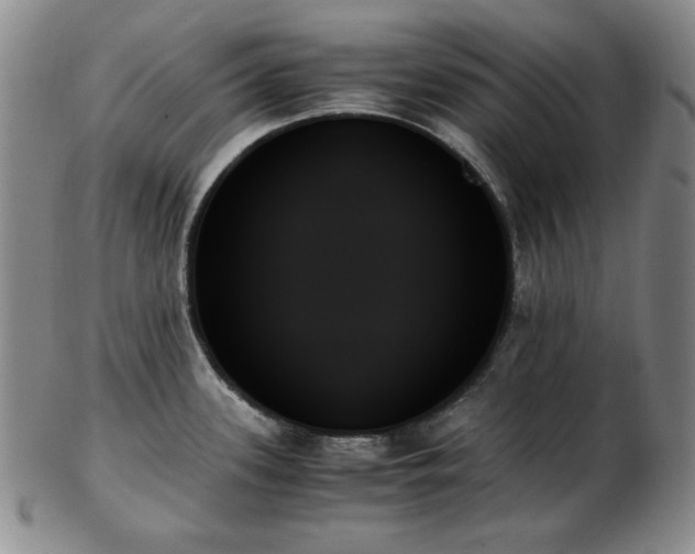 X0000103131339200808221145