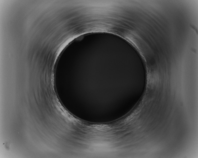 X0000103131340200808221145