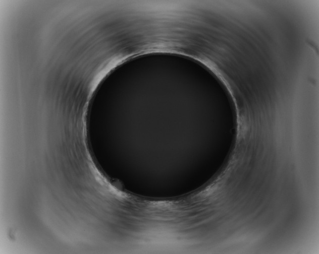 X0000103131341200808221145