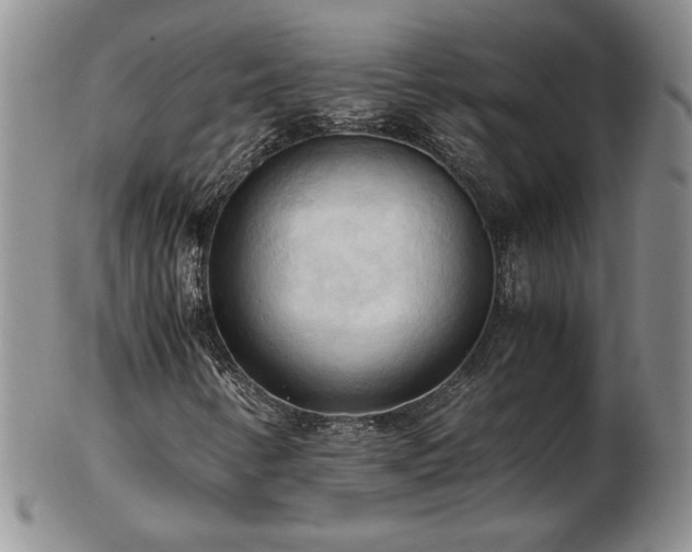 X0000103131346200808221144