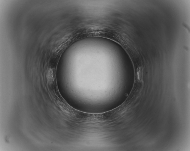 X0000103131347200808221144