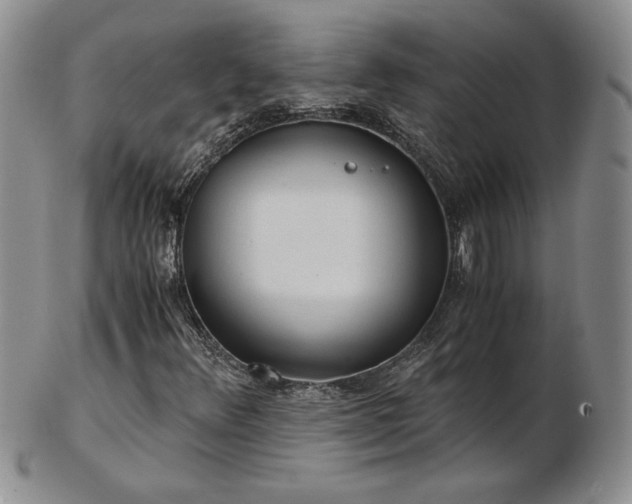 X0000103131348200808221144
