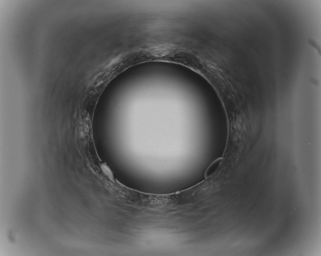X0000103131349200808221144