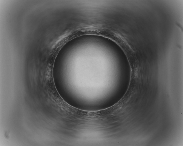 X0000103131350200808221144