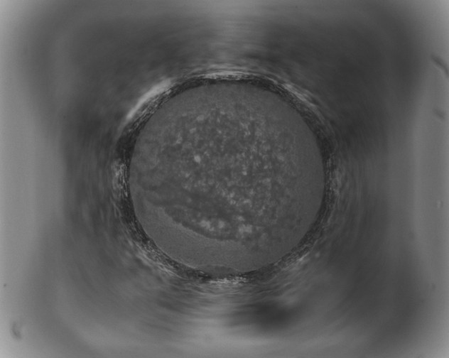 X0000103131351200808221144