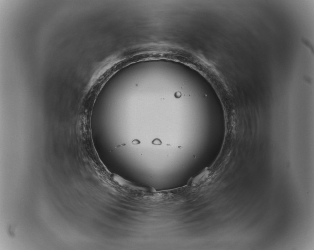 X0000103131352200808221144