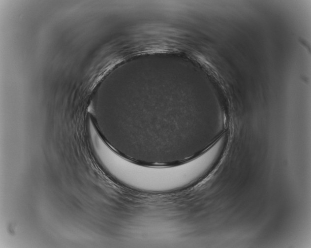 X0000103131353200808221144
