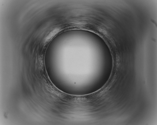X0000103131354200808221144