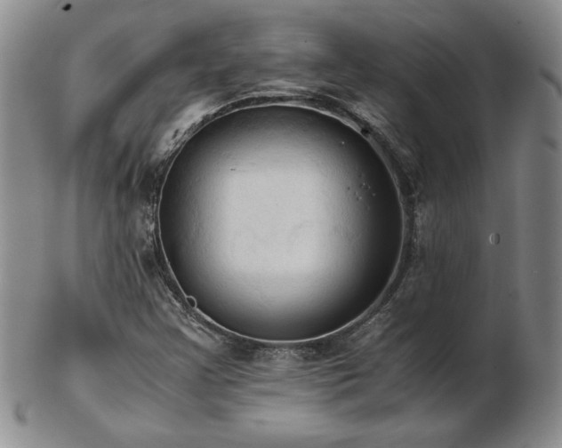 X0000103131355200808221144