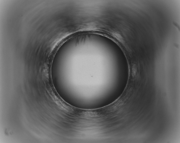X0000103131356200808221144