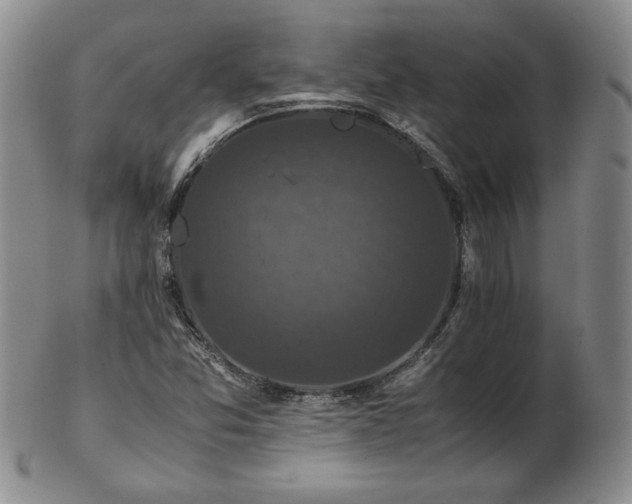 X0000103131357200808221144