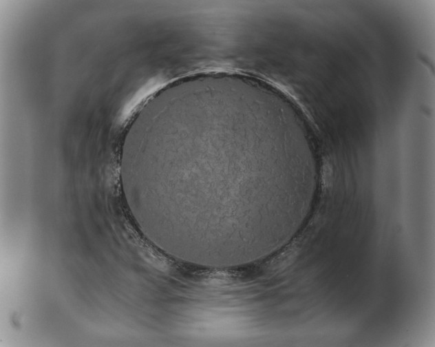 X0000103131359200808221144