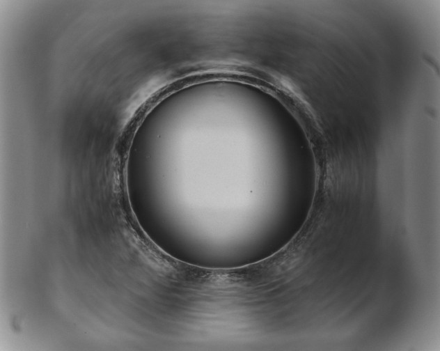 X0000103131360200808221144