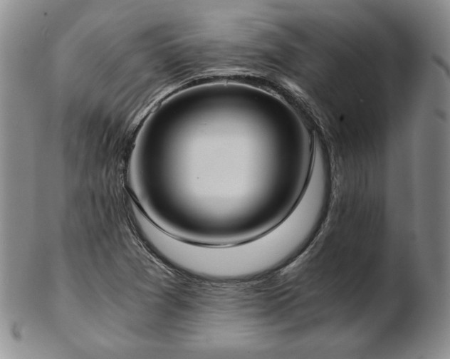 X0000103131361200808221144