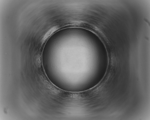 X0000103131362200808221144