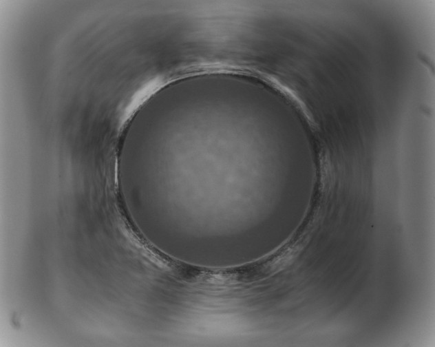 X0000103131365200808221144
