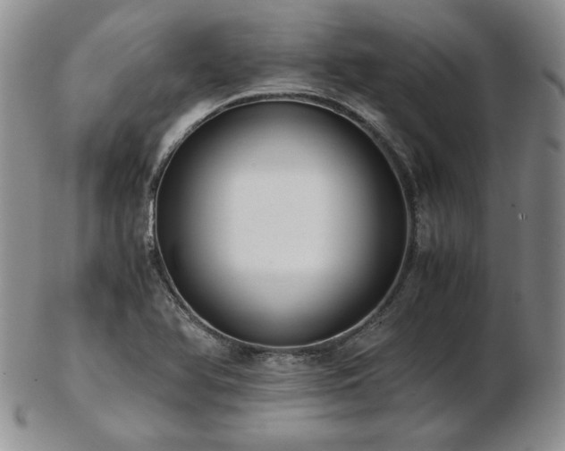 X0000103131366200808221144