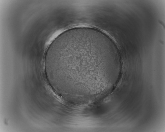 X0000103131367200808221144