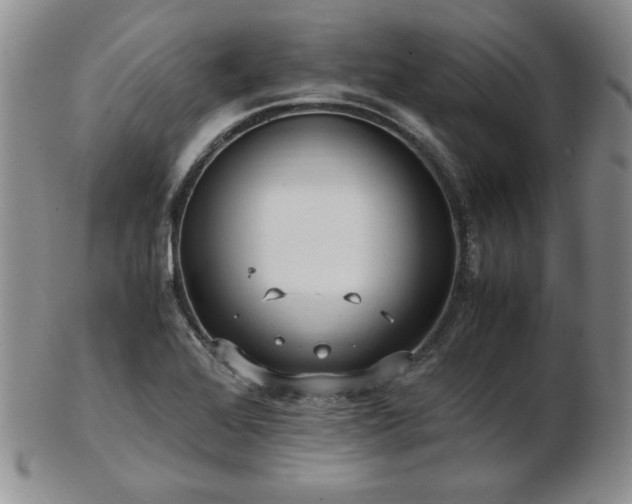 X0000103131368200808221144