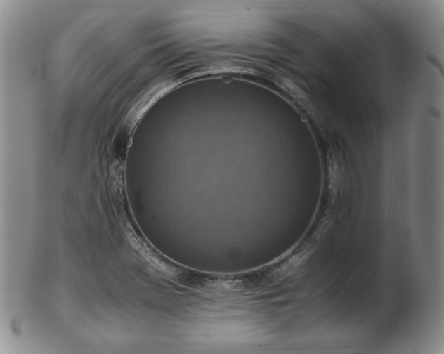 X0000103131369200808221144