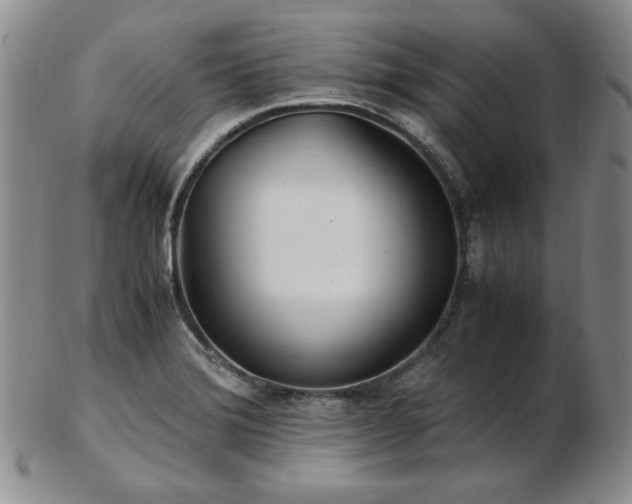 X0000103131372200808221144
