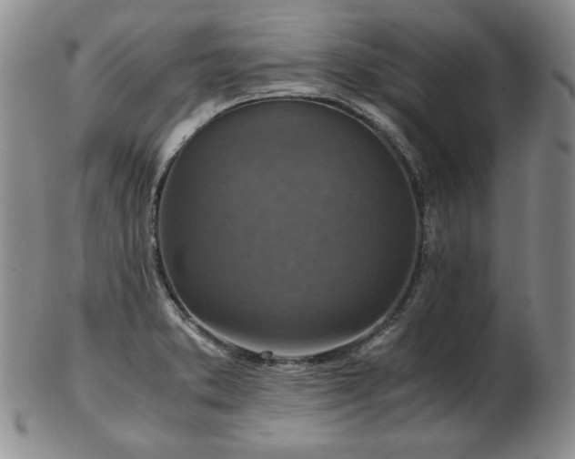 X0000103131373200808221144