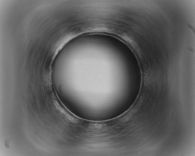 X0000103131374200808221144