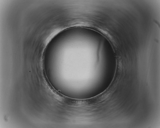 X0000103131375200808221144