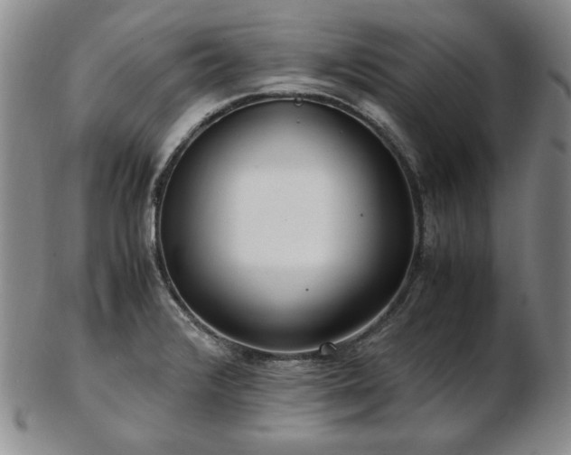 X0000103131376200808221144