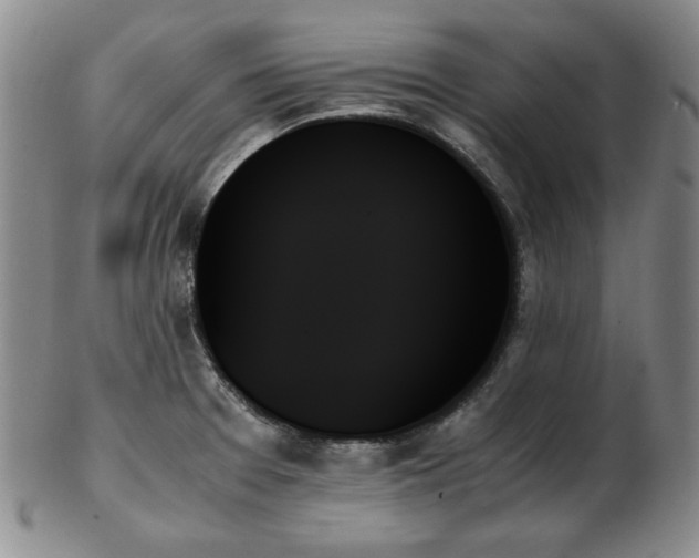 X0000103131377200808221144