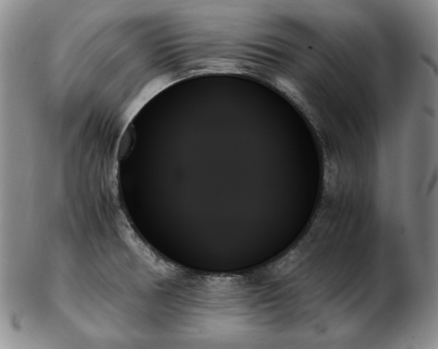 X0000103131378200808221144