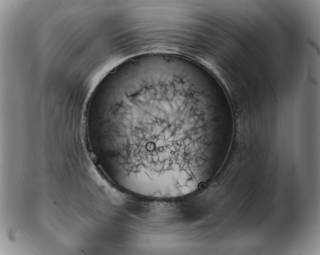 X0000103131379200808221144