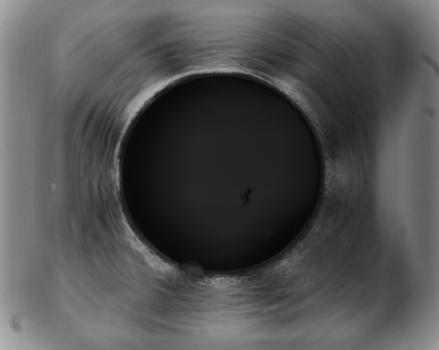 X0000103131380200808221144