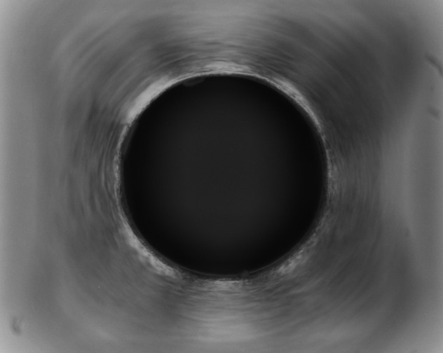 X0000103131381200808221144