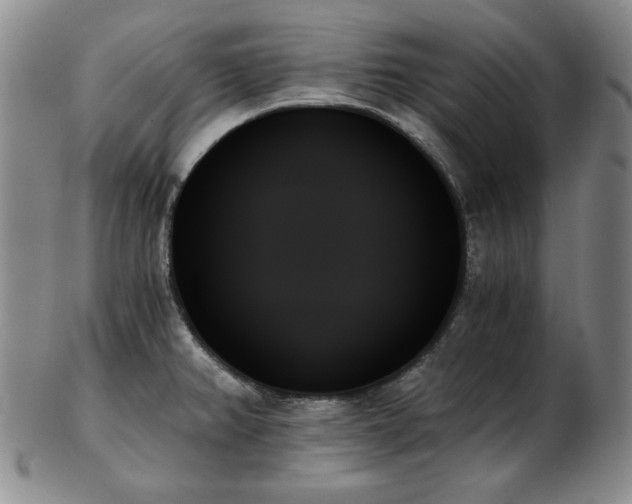 X0000103131382200808221144