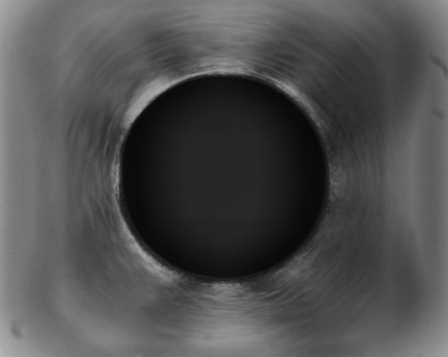 X0000103131383200808221144