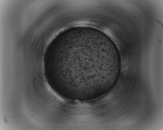 X0000103131384200808221144